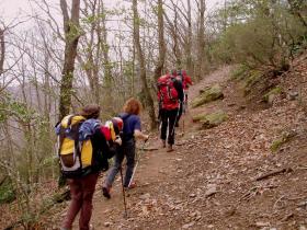 photo coins arrondis