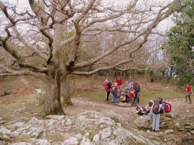 photo coins arrondis