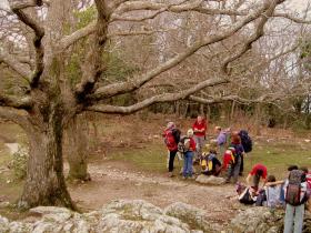 photo coins arrondis