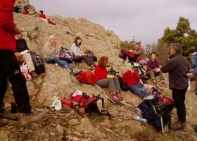 photo coins arrondis