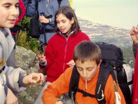 photo coins arrondis