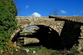 photo coins arrondis