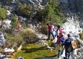 photo coins arrondis