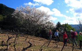 Embres et Castelmaure Embres et Castelmaure