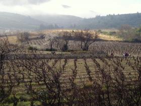 photo coins arrondis