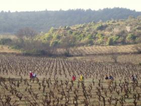 photo coins arrondis