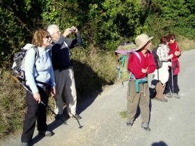 photo coins arrondis