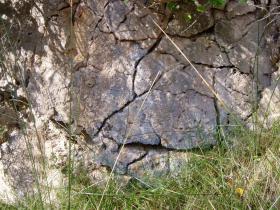 photo coins arrondis