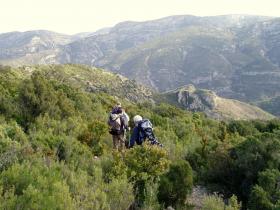 photo coins arrondis