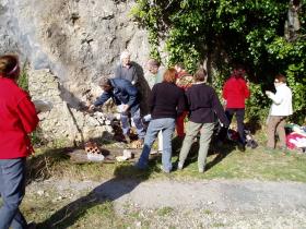 photo coins arrondis