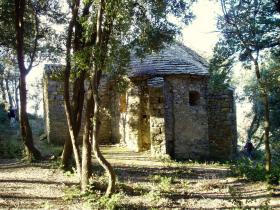 photo coins arrondis