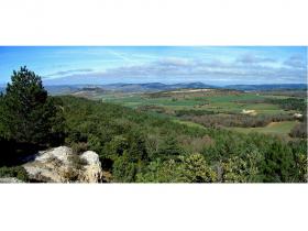 photo coins arrondis