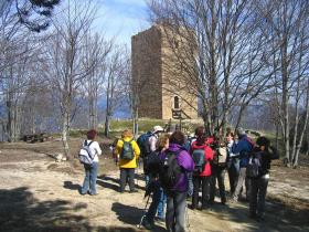 photo coins arrondis