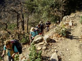 photo coins arrondis