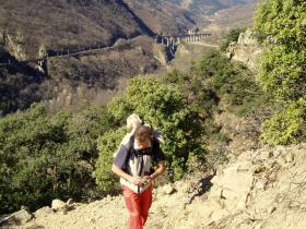 photo coins arrondis