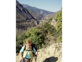 photo coins arrondis