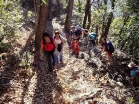 photo coins arrondis