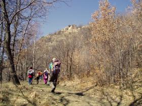 photo coins arrondis