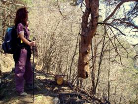 photo coins arrondis