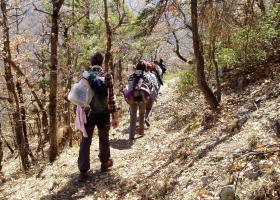 photo coins arrondis