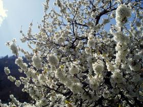 photo coins arrondis