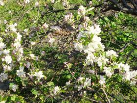 photo coins arrondis