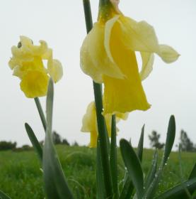 photo coins arrondis