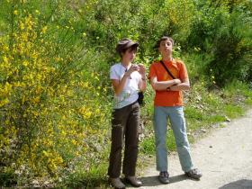 photo coins arrondis