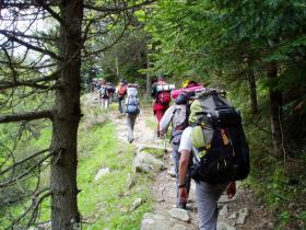 photo coins arrondis