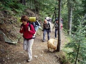 photo coins arrondis