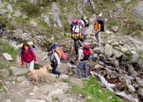 photo coins arrondis