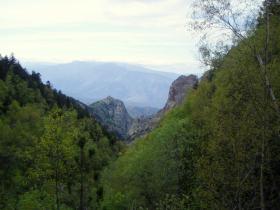 photo coins arrondis