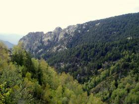 photo coins arrondis