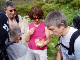 photo coins arrondis