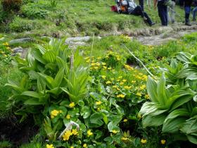 photo coins arrondis