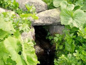 photo coins arrondis