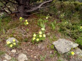 photo coins arrondis