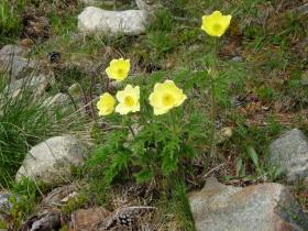 photo coins arrondis