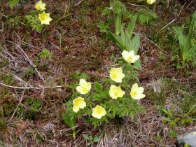 photo coins arrondis