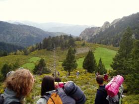 photo coins arrondis