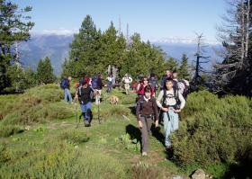 photo coins arrondis