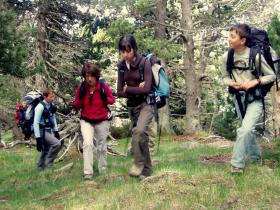 photo coins arrondis