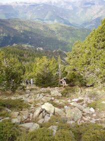 photo coins arrondis