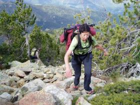 photo coins arrondis