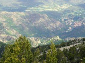 photo coins arrondis