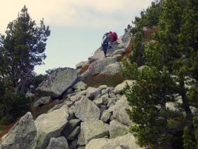 photo coins arrondis