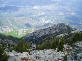 photo coins arrondis