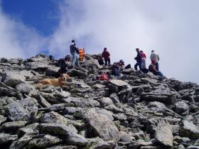 photo coins arrondis