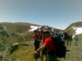 photo coins arrondis