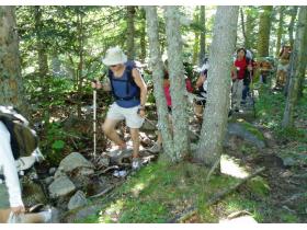 photo coins arrondis